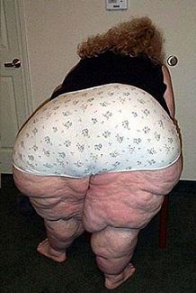 Les differents regimes