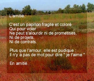 oooooooooooooooooooooooooooooooooooooo